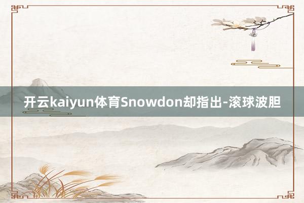 开云kaiyun体育Snowdon却指出-滚球波胆