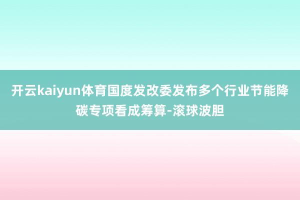 开云kaiyun体育国度发改委发布多个行业节能降碳专项看成筹算-滚球波胆