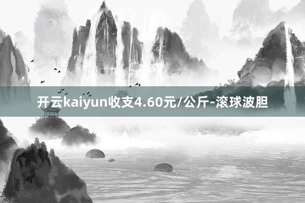 开云kaiyun收支4.60元/公斤-滚球波胆