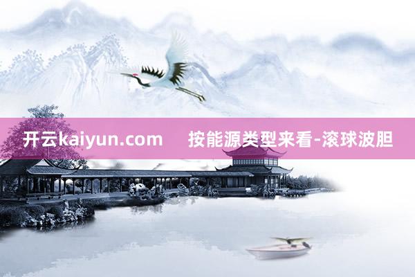 开云kaiyun.com     按能源类型来看-滚球波胆