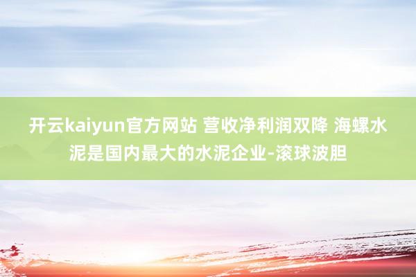 开云kaiyun官方网站 营收净利润双降 海螺水泥是国内最大的水泥企业-滚球波胆