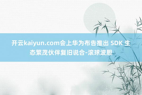 开云kaiyun.com会上华为布告推出 SDK 生态繁茂伙伴复旧说合-滚球波胆