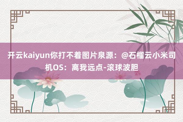 开云kaiyun你打不着图片泉源：@石榴云小米司机OS：离我远点-滚球波胆