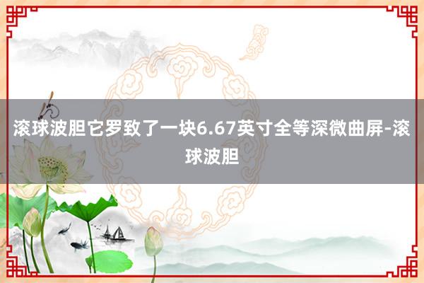 滚球波胆它罗致了一块6.67英寸全等深微曲屏-滚球波胆