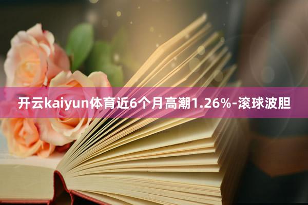 开云kaiyun体育近6个月高潮1.26%-滚球波胆