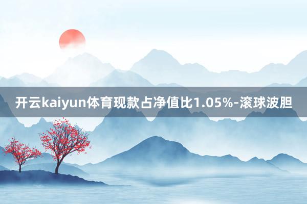 开云kaiyun体育现款占净值比1.05%-滚球波胆