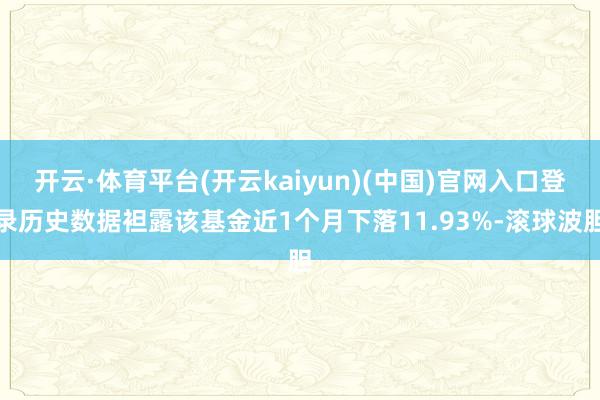 开云·体育平台(开云kaiyun)(中国)官网入口登录历史数据袒露该基金近1个月下落11.93%-滚球波胆