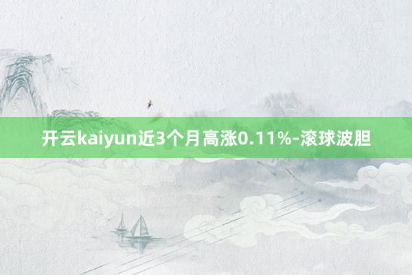 开云kaiyun近3个月高涨0.11%-滚球波胆